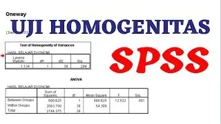 Cara Mudah Uji Homogenitas dengan SPSS - Homogeneity Test SPSS