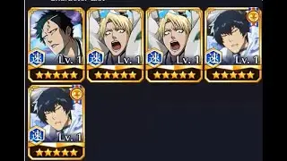 Thousand Year Blood War Summons: Wings of Frost ( Selection 1) BLEACH BRAVE SOULS