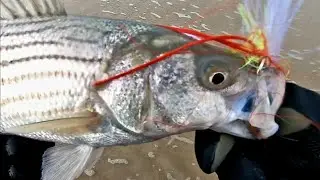 SURFCASTING - STRIPED BASS: Diamond Jigs - Tins - First Light Tackle Bucktails (Flairhawks)