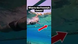 A Better Catch = A MUCH Faster Swimming Stroke 🏊&zwj;♂️ Do you know which kind you have? #swim