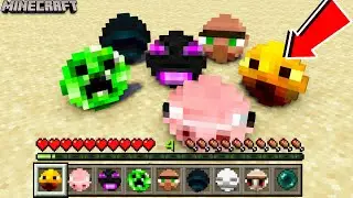 Minecraft, But there are Custom pearls || Minecraft Mods || Minecraft gameplay