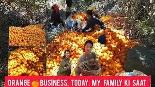 Orange 🍊 business development anjaw district) , arunachal pradesh @ArbiDolivlogs 