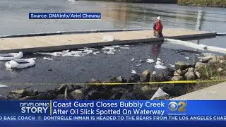 'Bubbly Creek' South Fork Of Chicago River Closed Due To Oil Spill