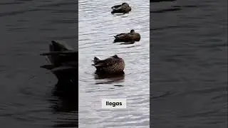 Tour en barco por el Lago Ness