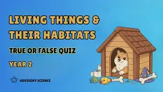 Year 2 | KS1 | Living Things True or False Challenge