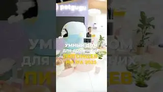 Умный дом для домашних животных от Petgugu 🐈. Новинка 2025 #ifa #ifa2025 #shorts