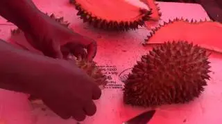 How to Durian Cutting