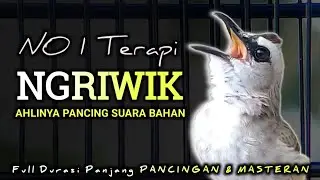 NO 1 TERAPI !! TRUCUKAN GACOR NGRIWIK, CEPAT MEMANCING TRUCUK SUSAH BUNYI SEKETIKA GACOR