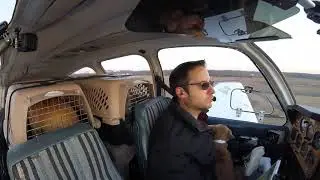 Chihuahau landing?