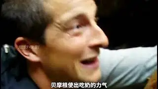 贝爷挑战火山区域求生，摘几颗鳄梨果子，掏走一坨蜂蜜大快朵颐 #影视解说 #纪录片#荒野求生#贝爷#野外生存