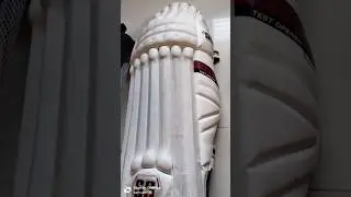 new batting pad ss test opener #cricket #flycricketer