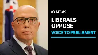 Liberal Party confirms opposition to Voice to Parliament | ABC News