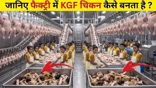 Factory Me Chicken Kaise Banti Hai | Chicken Processing Factory Process Step By Step