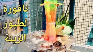 اصنع نافورة للطيور والعصافير من ادوات المنزل | Make a bird fountain