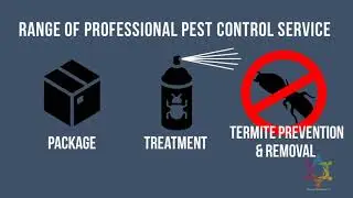 Pest Control Animated PPT Demo