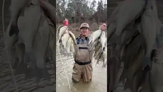 WHITE BASS RUN 2025 is ON!!!🔥 #fish #fishing #bassfishing #whitebass
