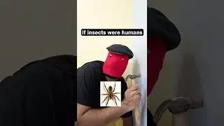 If insects were humans