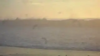 SDC10172