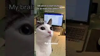 #meme #cat #funny #meams#fun #catmeme #catmemes #pets #pet #petmeme #petmemes #cats #funcat