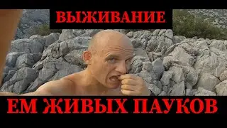 💥КАК ЕДЯТ ПАУКОВ💥