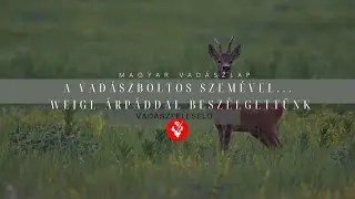 Vadászfeleselő 3/9. - A vadászboltos szemével... Weigl Árpáddal beszélgettünk
