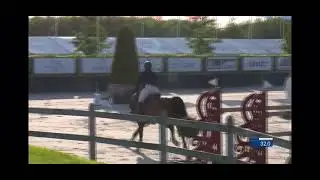 Gullit HBC. Stallion. Cantos x Namelus. 2011. 1.45 Mts. Class. CSI 2* Peelbergen.