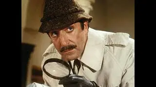 A Bumbling Detective (Who's Secretly a GENIUS)