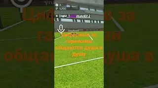 Стрела у циферных