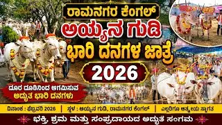 ಅಯ್ಯನ ಗುಡಿ  ಬಾರಿ ದನಗಳ ಜಾತ್ರಾ ಮಹೋತ್ಸವ 2026 | Ramangara| #halikar 