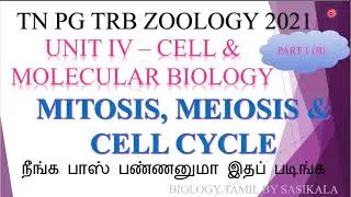 TN PG TRB ZOOLOGY -CELL &MOLECULAR BIOLOGY CELL CYCLE , MITOSIS&MEIOSIS IN BIOLOGY TAMIL BY SASIKALA