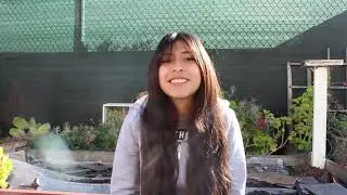 Alternatives in Action High School- Oakland Enrolls Charter School Fair Video