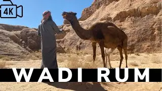 What's it like staying in a Bedouin Camp | Jordan Travel Vlog