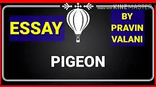 ESSAY ON PIGEON. ESSAY ON PIGEON IN ENGLISH.