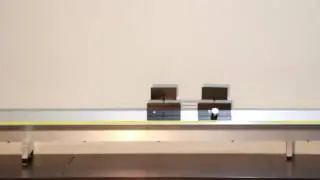 Choque Plástico 2
