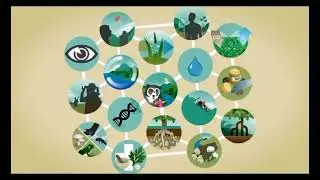 Servicios Ecosist&eacute;micos: Abastecimiento, Regulaci&oacute;n, Apoyo, Cultural.