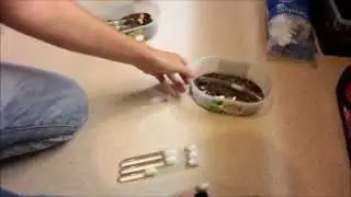 Tutoriel : Changer de tube des fourmis