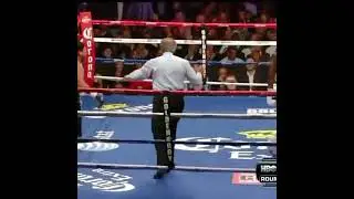 This was brilliant | Best fights