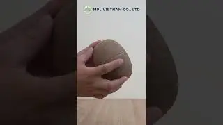 Natural Handmade Coconut Shell Bowl for Salad, Cereal, Fruits | Sustainable Kitchenware from Vietnam