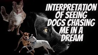What is the meaning of seeing dogs chasing you in a dream?