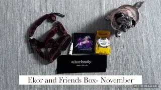 Ekor and Friends Box November