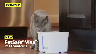 Upgrade Your Pet's Hydration with PetSafe&reg; Viva&trade; Pet Fountain