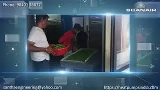 Vegetable & Fruits Dehydrator Manufacturers in india, Heat Pump Dryer, Tray Dryers, Drying Room.