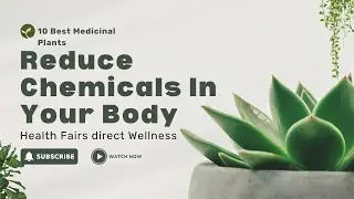 10 Best medicinal plants to reduce chemicals in your body
