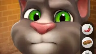 #ultra #ultragaming #tomandjerry #trending #funny #funnycomedy #talkingtom #comedyfilms #comedy #cat