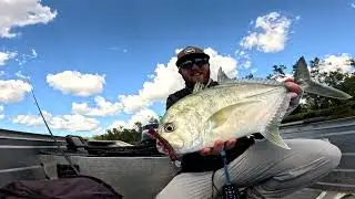 Fishing the Brisbane/Pine River area with lures!
