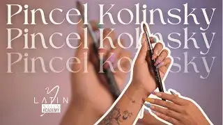 6  PINCEL KOLINSKY PROFESIONAL