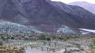 Categor&iacute;a: Vino de Autor /Vino: Primavento Samak Malbec 2017