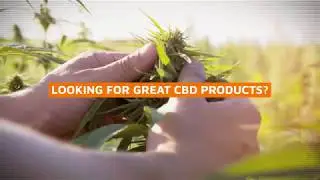 Lab-Tested and Quality-Proven CBD Products | Axis Labs