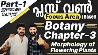 Plus One Botany | Focus Area Based Class | Chapter 3 | Morphology of Flowering Plants | Part 1