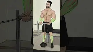 Build Strong Forearms 💪 | Forearm Workout at Home #Shorts